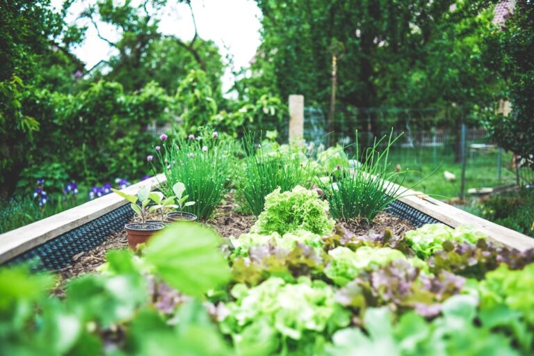 The Intricacies of Urban Gardening: A Comprehensive Guide