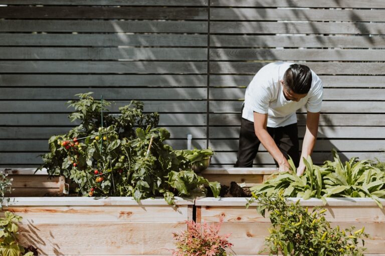 The Growing Popularity of Urban Gardening: Transforming Cities One Plant at a Time