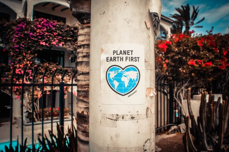 The Comprehensive Guide to Sustainable Living: A Pathway to a Greener Future