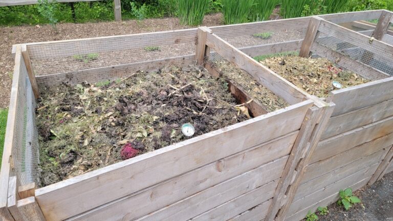 Mastering the Art of Home Composting: A Comprehensive Guide